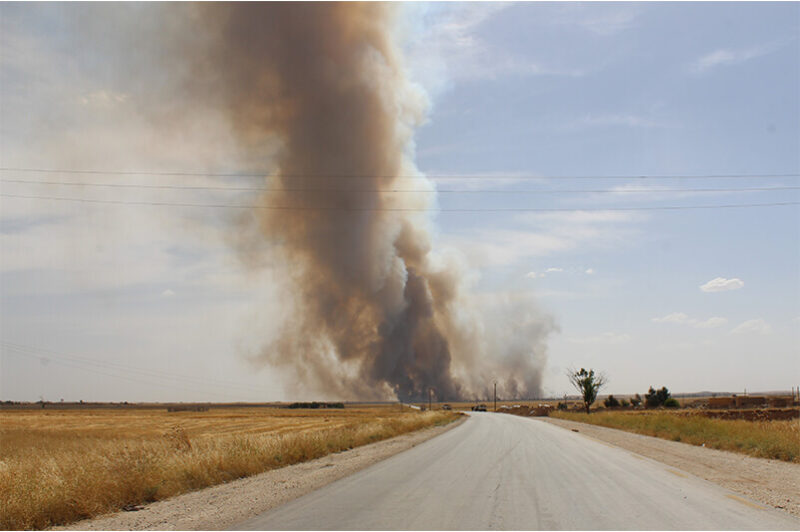 The Ecology of War - Revista Periferias